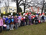 Nowy plac zabaw przy SP 2 w Świdnicy