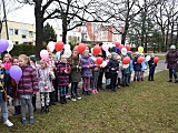 Nowy plac zabaw przy SP 2 w Świdnicy