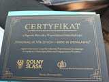 grafika
