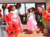 [WIDEO/FOTO] Pokaz mody, koncert, licytacje i moc atrakcji dla dzieci na charytatywnym Pikniku Rodzinnym w Winnicy Silesian