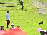 [WIDEO/FOTO] Pokaz mody, koncert, licytacje i moc atrakcji dla dzieci na charytatywnym Pikniku Rodzinnym w Winnicy Silesian
