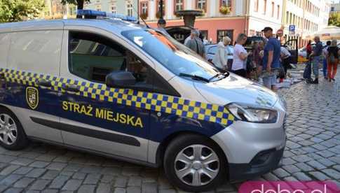 Mandaty, pożar i bezdomni w pustostanie. Pracowity tydzień świdnickiej Straży Miejskiej