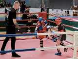 Medalowy weekend fighterów
