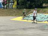 Skate