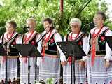 [WIDEO/FOTO] Powitanie Lata na Ludowo. Zespoły folklorystyczne z naszego regionu wystąpiły w Goczałkowie