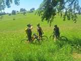 [FOTO] Przejechali nową trasą rowerową Czarna Świdnica