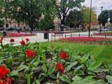 Odnowiony plac Grunwaldzki – miejsce spotkań z historią i naturą