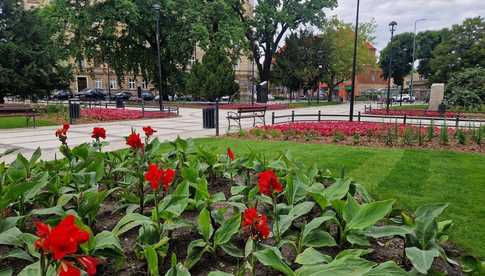 Odnowiony plac Grunwaldzki – miejsce spotkań z historią i naturą
