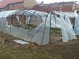 Ktoś poprzecinał foliak na pomidory. Sprawcę nagrała kamera